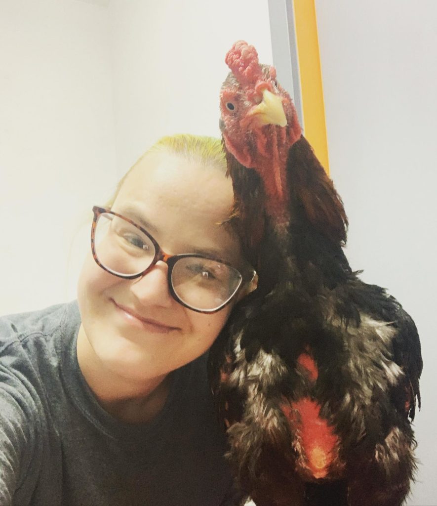 A person wearing glasses lays their head next to an ex fighting rooster, who rests next to them.