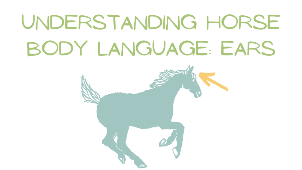 Title reading "Understanding Horse Body Language: Ears" with a graphic of a horse running and an arrow pointing to their ears.