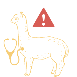 This is a graphic of an alpaca with a stethoscope over their chest and a red alert triangle above their body.