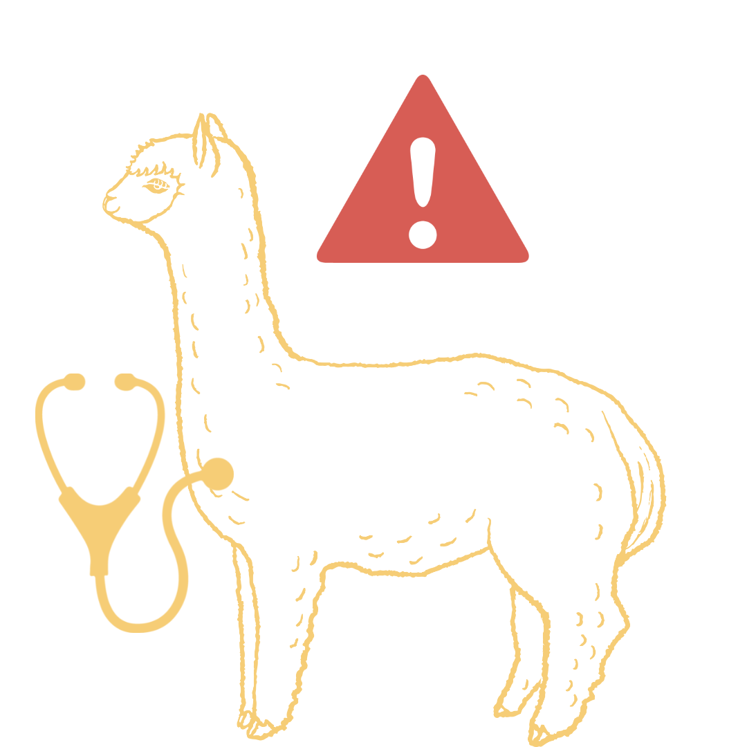 Potential Alpaca Health Challenges - The Open Sanctuary Project