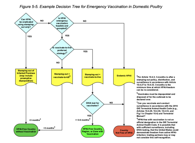 A decision tree diagram depicting the decision process used in determining whether or not vaccines should be deployed in HPAI control measures. It shows that depopulation is still a likely option even in the case of vaccine use.