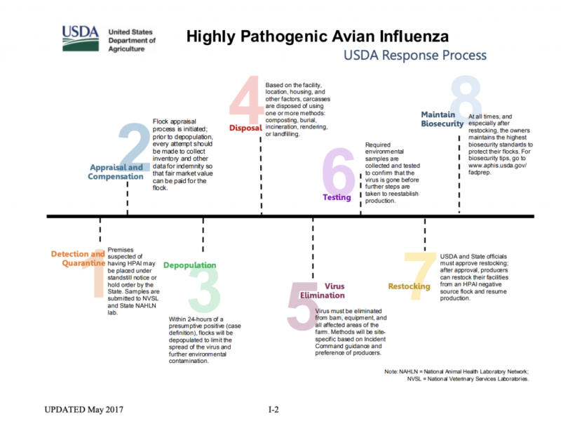 A chart showing the USDA response process to a detection of highly pathogenic avian influenza. 
1. Detection and Quarantine
2. Appraisal and Compensation
3. Depopulation
4. Disposal
5. Virus Elimination
6. Testing
7. Restocking
8. Maintain Biosecurity