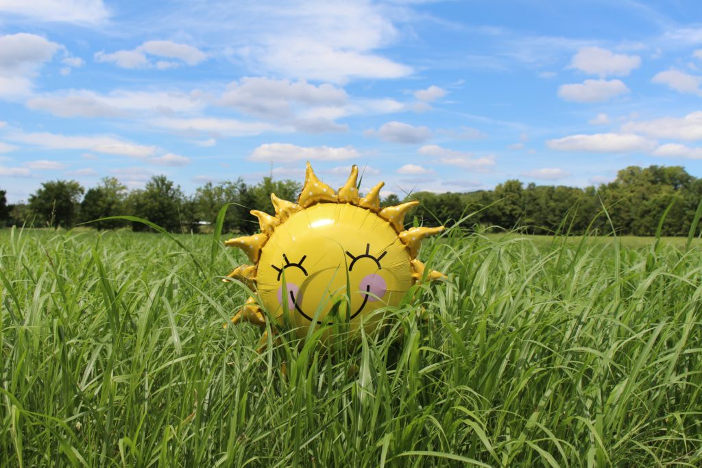 yellow sun balloon with a smiley face resting on top of a grassy field.