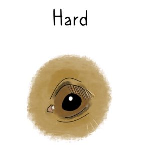 Illustration of a horse's eye with a "hard" expression.