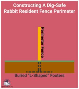 A graphic showing how to construct a dig-safe fence perimeter for rabbits.