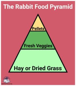 A graphic of a rabbit food pyramid with pellets at the top (the smallest section), fresh veggies in the middle, and how or dried grass at the bottom.