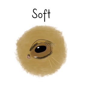 Illustration of a horse's eye with a "soft" expression