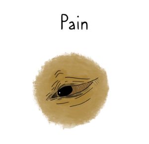 Illustration of a horse's eye with an expression of pain.