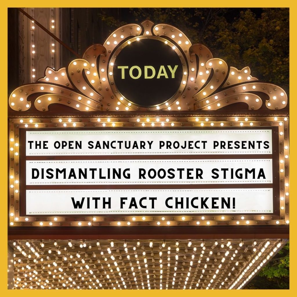 An image of a theater marquee, which  has text reading, "The Open Sanctuary Project Presents Dismantling Rooster Stigma With Fact Chicken!"