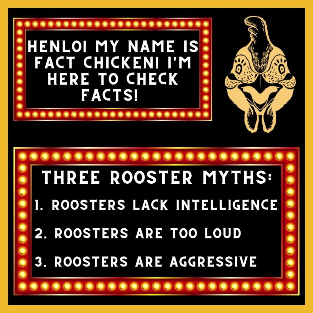 An image showing text next to chicken face, which reads "Henlo! My name is fact chicken! I'm here to check facts!" 

Underneath that, a box in lights which reads:

Three Rooster Myths:
1. Roosters Lack Intelligence
2. Roosters Are Too Loud
3. Roosters Are Agressive