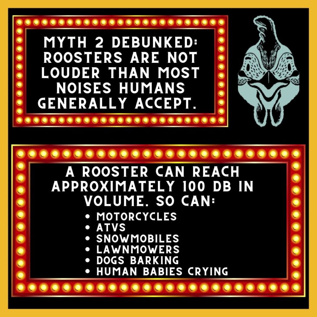 A text box next to a chicken face, which reads "Myth 2 debunked: Roosters are Not Louder Than Most Noises Humans Generally Accept"

Underneath is another box in lights which reads:

A Rooster can reach approximately 100 DB in volume. So can:
Motorcycles
ATVS
Snowmobiles
Lawnmowers
Dogs Barkng
Human Babies Crying