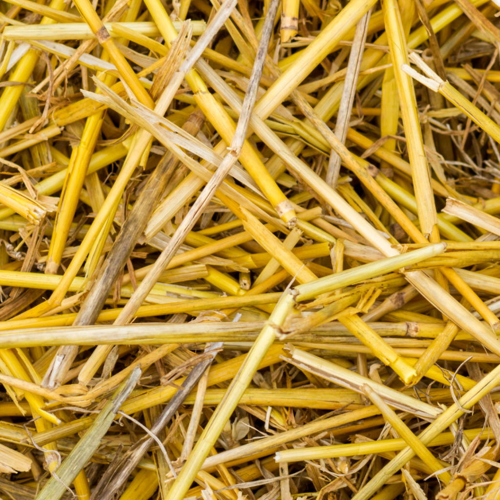 The Difference Between Straw And Hay - The Open Sanctuary Project