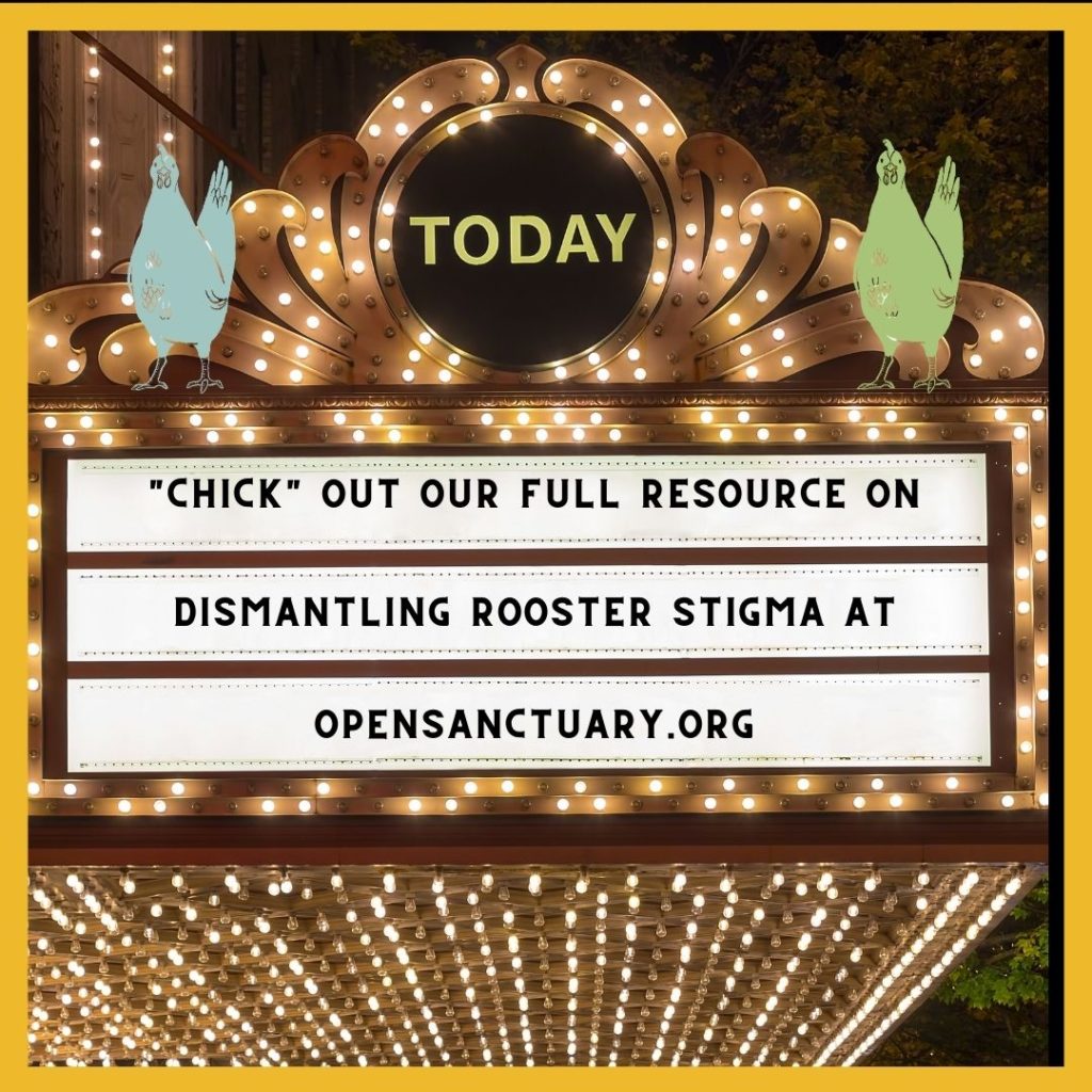 An image of a marquee. Two chickens perch on it. The text on the marquee reads "Chick" out our full resource on dismantling rooster stigma at opensanctuary.org