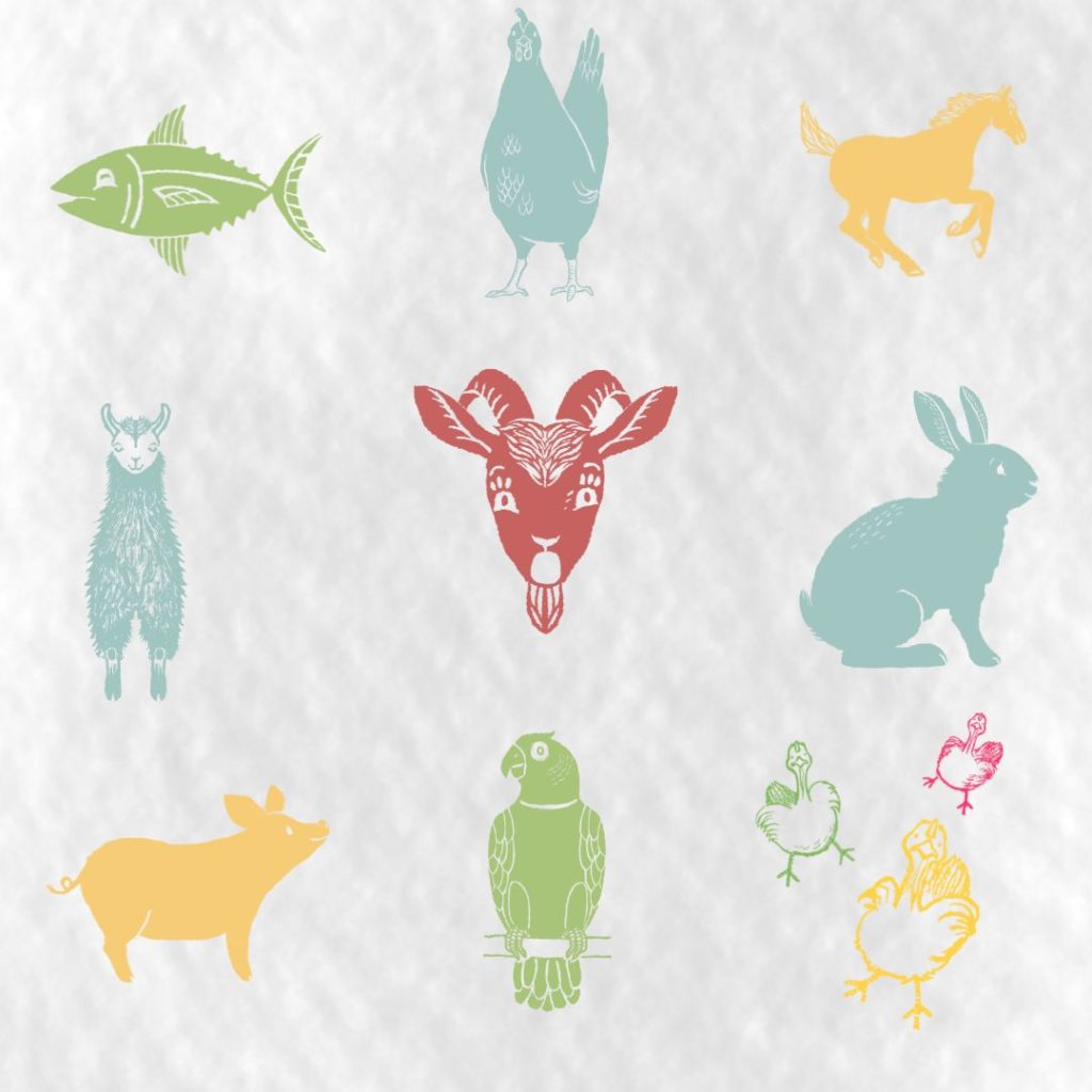 A background showing designs of a fish, a chicken, a horse running, a llama, a goat face, a rabbit, a pig, a parrot, and a trio of turkey poults.