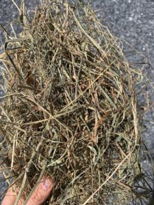 handful of hay
