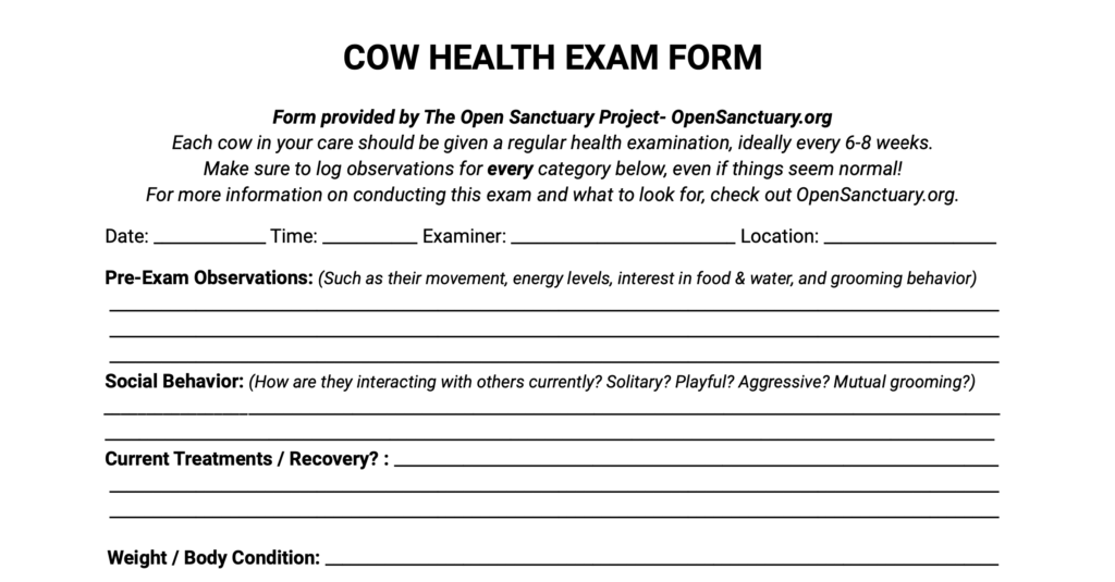 A sample of the newest cow health exam form