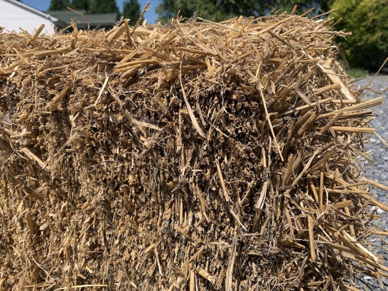 The Difference Between Straw And Hay The Open Sanctuary Project