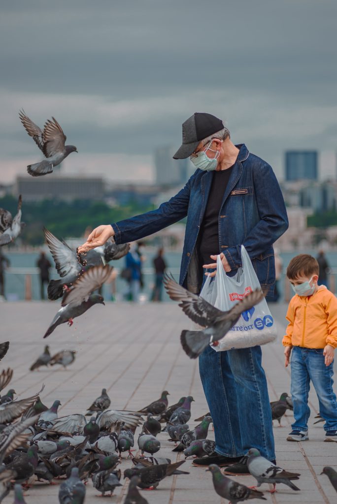 A person offers seed to a flock of urban pigeons who congregate around him and fly to him. A child watches in the background.