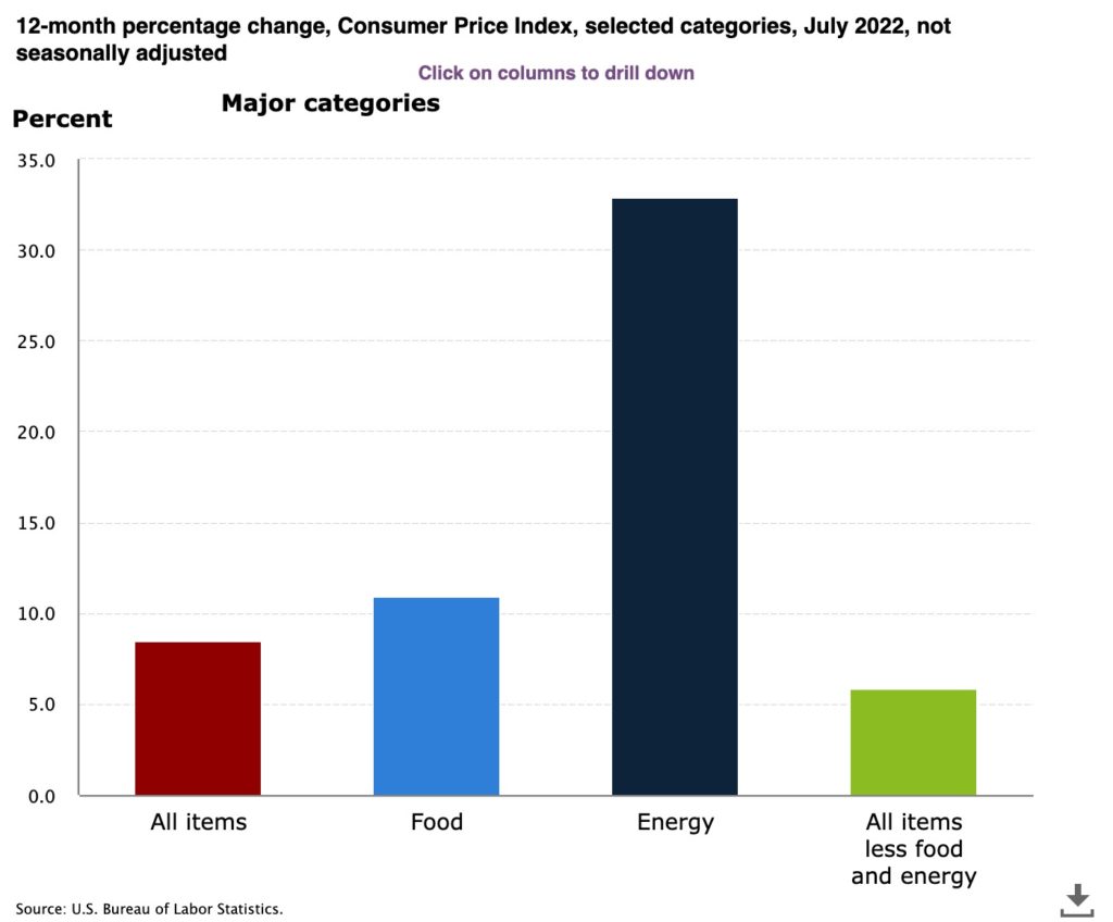 A graph from the Bureau of Labor Statistics that shows the 12-month percentage change in the Consumer Price Index. The first category is "all items," which has increased a little under 10%. The second category is "food," which has increased slightly over 10%. The third category is "energy," which has risen over 30%. The final category is "all items less food and energy," which has risen just over 5%.