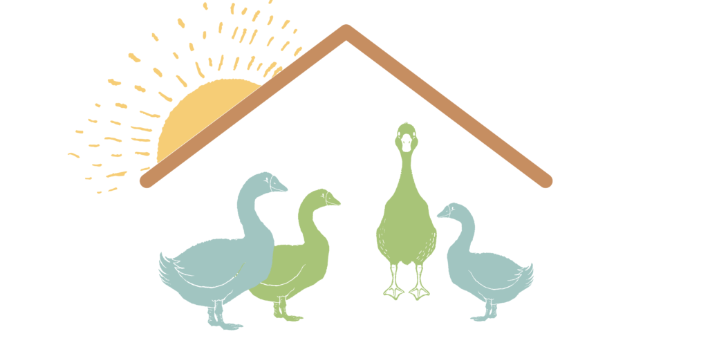 Graphic of a gaggle of geese under a roof.