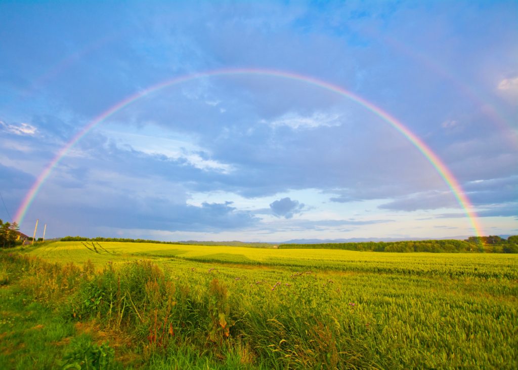 Photograph of a bright green field with a rainbow in a bright blue sky in the background.