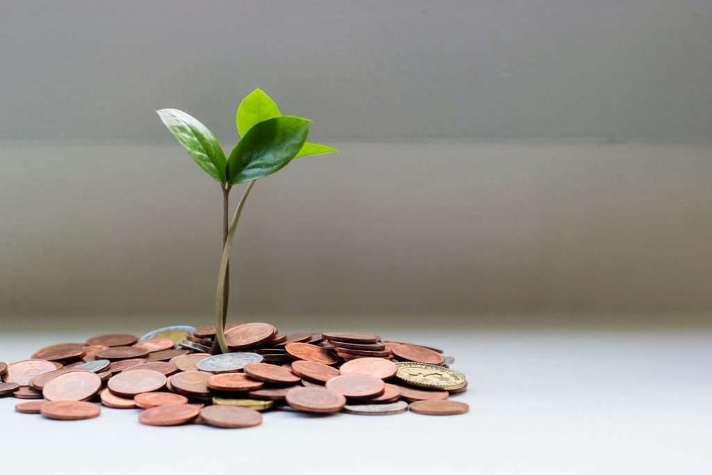 An image of a pile of change, with a sprout of a plant. growing out of it.