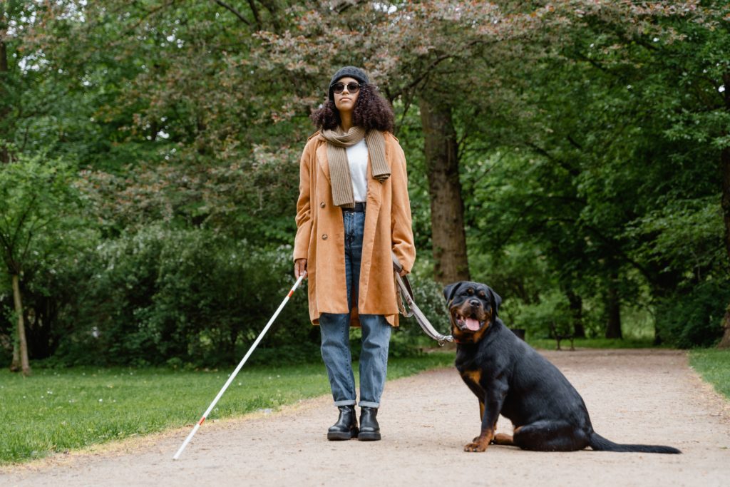 A person with long curly dark brown hair and light brown skin is standing on a paved pathway.  They are wearing sunglasses, a dark grey beanie, a white t-shirt, tan scarf, light brown coat, blue jeans, and black boots. They are holding a white cane with red stripes in their right hand and the leash of a guide dog in their left hand. The guide dog has short black and brown fur. The dog is seated calmly to the right of the person and sticking their tongue while panting. Behind the person and the dog is a line of green trees. On either side of the paved pathway is green grass.