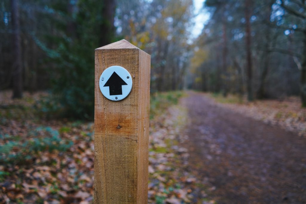 A close-up photograph of a short wooden post with a small circular sign on the front that has a black arrow pictograph on it. The arrow is pointing straight ahead. Behind the wooden post is a paved pathway with lots of fallen leaves. The pathway is lined with trees.