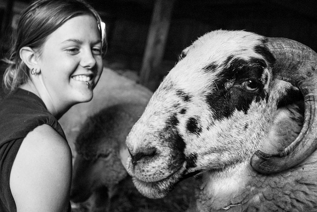 a black and white sheep with horns looks at the camera while their human caregiver looks at them and smiles