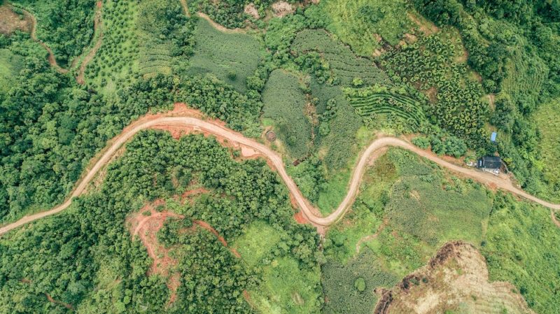 aerial view of a road with patches of trees and patches of grasslands