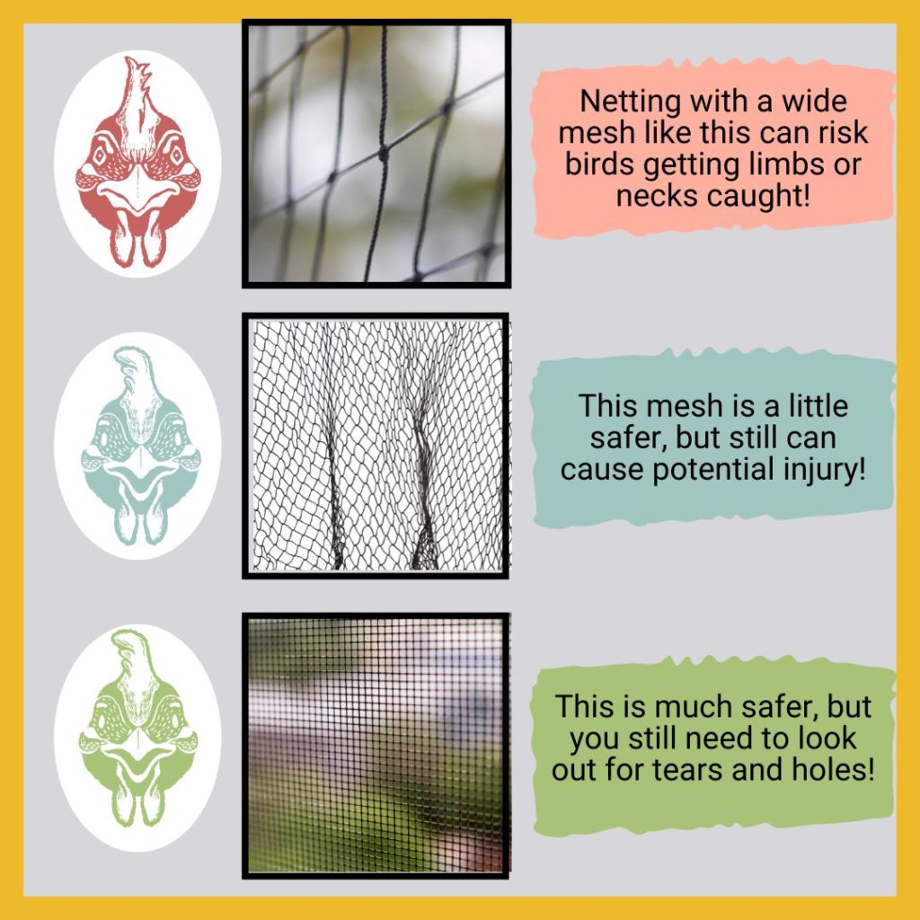 This image shows three kinds of netting. The first image is an angry chicken next to wide mesh netting. The text next to these read "Netting with a wide mesh like this can risk birds getting limbs or necks caught!"

The second kind of netting is finer mesh, and has a neutral faced chicken next to it. The text reads "This mesh is a little safer, but can still cause potential injury!"

The third kind of netting pictured is very fine mesh netting, and has a happy faced chicken next to it. The text reads, "This is much safer, but you still need to look out for tears and holes!" 