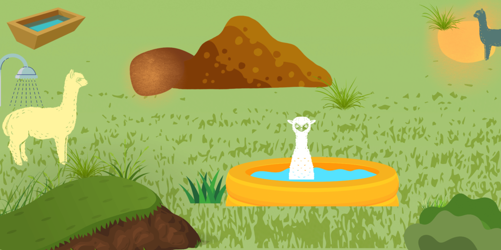 This graphic shows a green background covered in grass, a bug pile of sand, a small pond, a mound, and dust bathing areas for the three alpacas standing around.