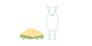 This graphic portrays a blue sheep standing next to a pile of green and yellow hay.