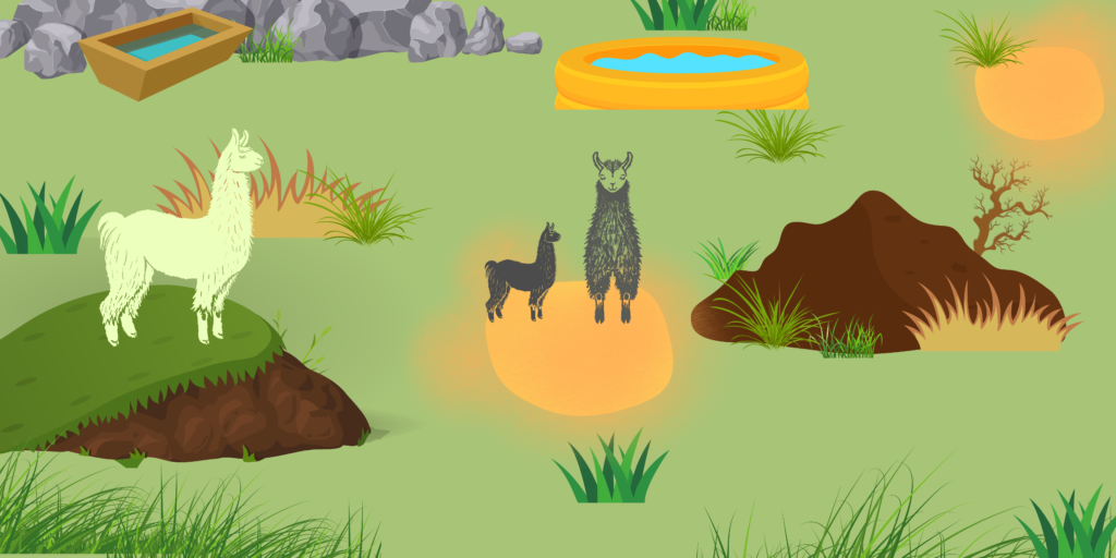 This graphic shows three llamas in a grassy living space with areas for dustbathing, mounds to stand on, a small pond, rocky areas, and a water trough.