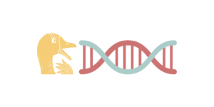 This graphic depicts a yellow goose, looking surprised as they look at a blue and red strand of DNA.