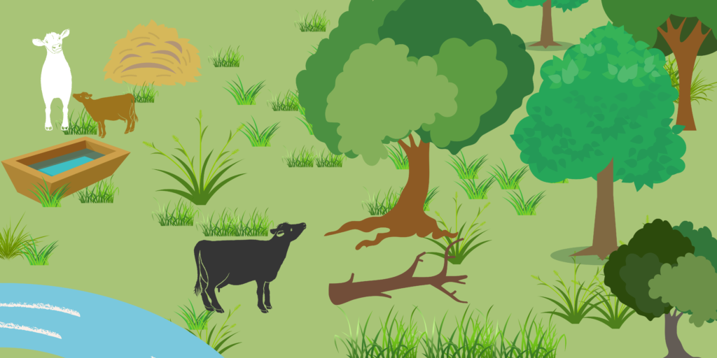 This graphic depicts three cows standing in a field with multiple trees, lots of grass, and a stream.