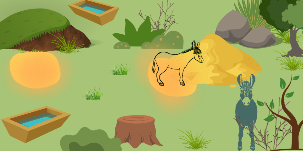 This graphic depits two donkeys standing in a field with bushes, grass, tree stumps, sand mounds, dust bathing spots, rocks, and a water trough.