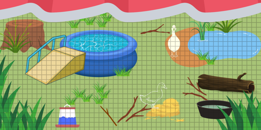 This graphic depicts two ducks living in a space with a small pond, a pool with a ramp, a tree stump, branches, straw, and grass.