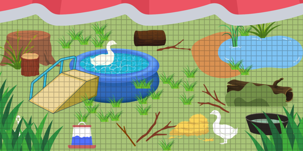 This graphic depicts two geese living in a space with a small pond, a pool with a ramp, a tree stump, branches, straw, and grass.