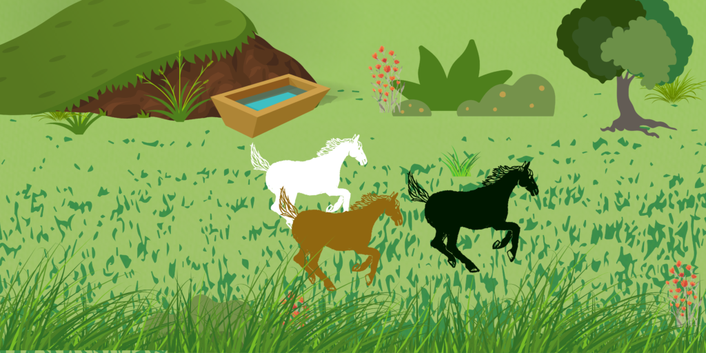 This graphic depicts three horses running across an open grassy plain. Their are bushes, tall grasses and a grass covered mount in the background, as well as a trough of water.