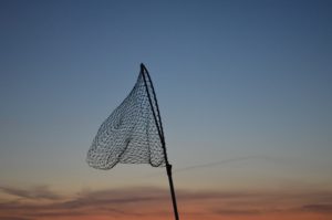 An image of a net raised in the air against a landscape at sunset. The net has medium sized meshing.