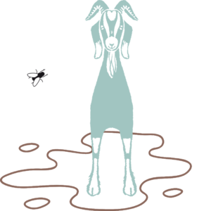 A blue cartoon goat with horns stands in a brown mud puddle. There is a fly buzzing next to them.