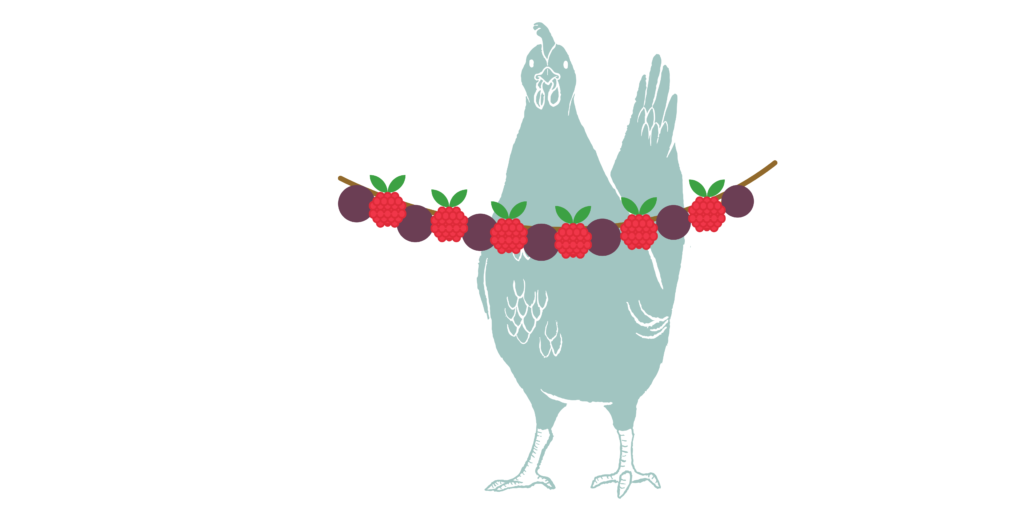 A blue cartoon chicken stands in front of a treat garland strung with grapes and rasberries.