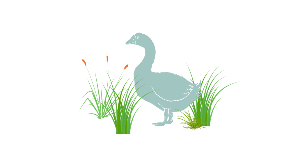 A blue cartoon goose stands among tall and short grasses with berries spread throughout.