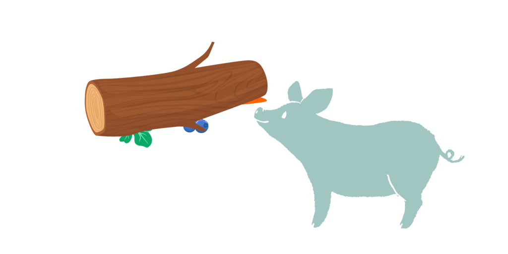 A blue cartoon pig stands in front of a large log that has spinach, blueberries, and carrots hidden underneath.