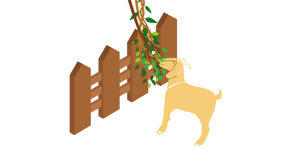 A yellow cartoon goat stands in front of a wooden fence that has branches with leaves hanging from it.