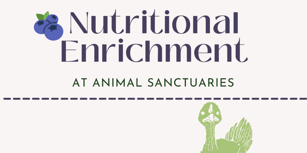 This graphic banner is in a very light pink with deep bluish purple text reading "Nutritional Enrichment" and more text in a dark green reading "at animal sanctuaries. There is a blue dotted line across the banner and a green turkey looking out.