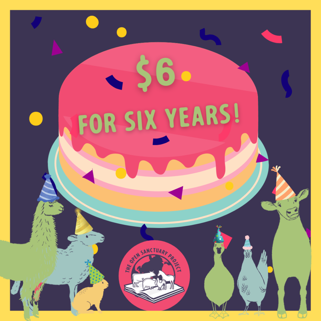 Illustrations of animals with party hats on along with a cake decorated with "$6 for six years!"