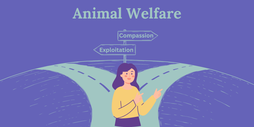 A graphic with violet background has a road split into left and right. There is a sign on a wooden post with "Compassion" pointing right and "Exploitation" pointing left. Above "Animal Welfare" sits above the scene. A person with long purple hair in a yellow sweater smiles and point right.