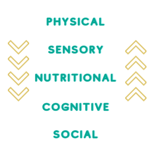 A list that has "physical, sensory, nutritional, cognitive, and social written". On either side four arrows point down and then up.